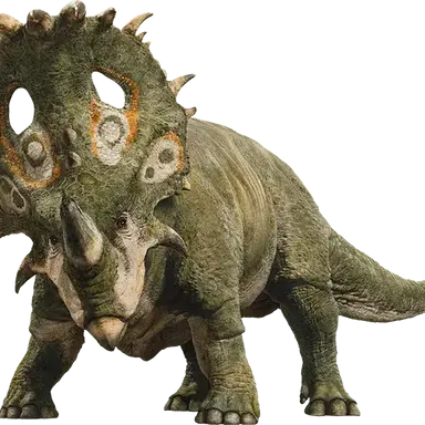 Profile image of 아크