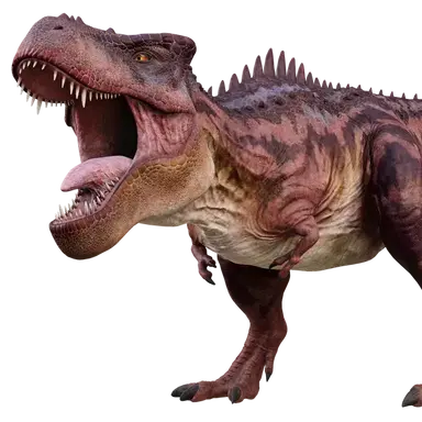 Profile image of 라이너