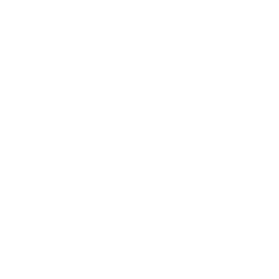 Profile image of 제미니