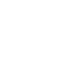 제미니