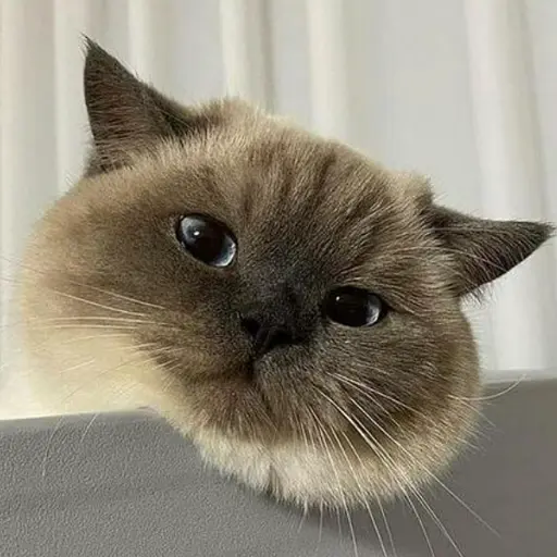GINGA의 가뮌