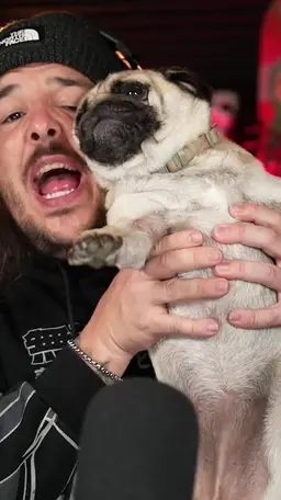 Profile image of Mully