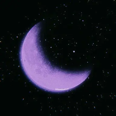 Profile image of 멜로우