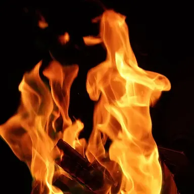 Profile image of 오시온