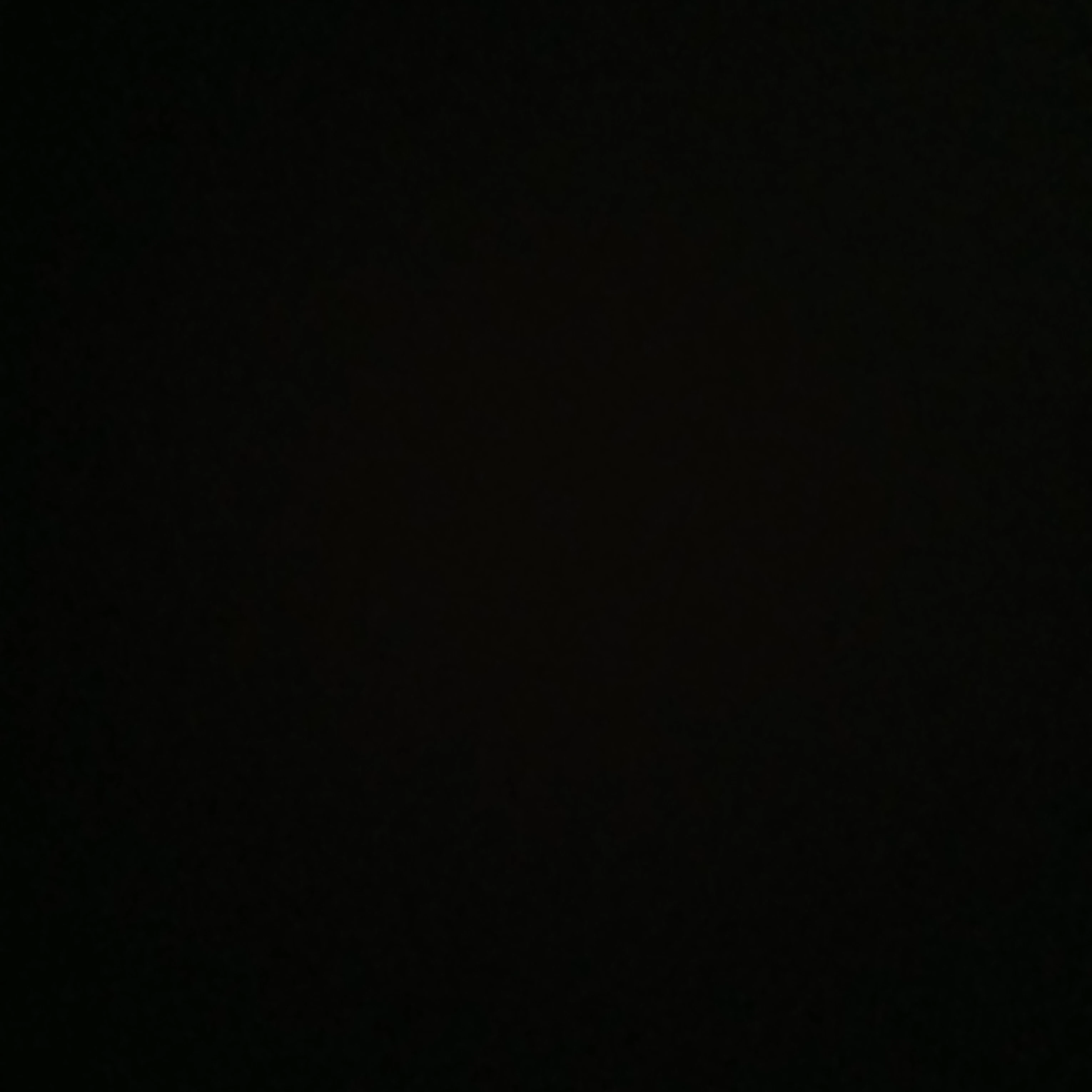アメリカ