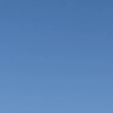 린