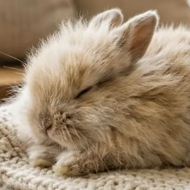 Profile image of Warmthread