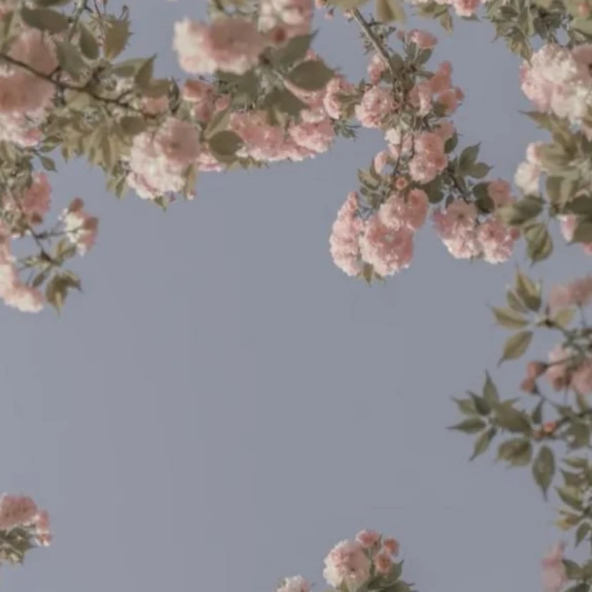 이지훈