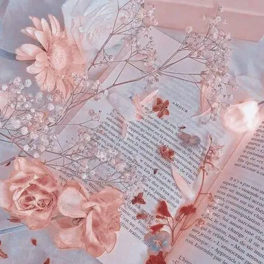 Profile image of 설아씨