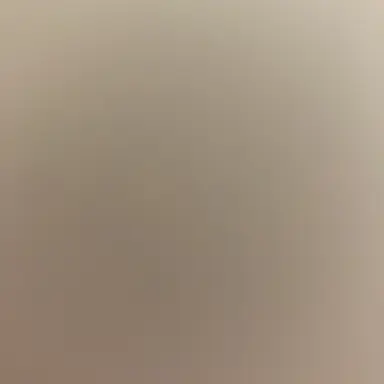 Profile image of 유기사