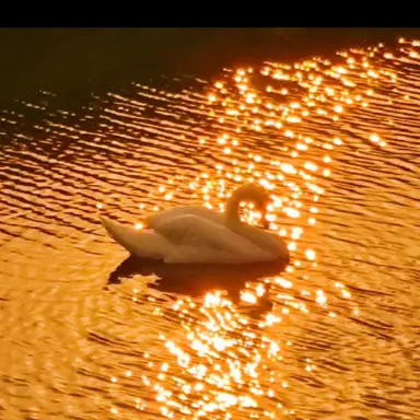 Profile image of 박덕개