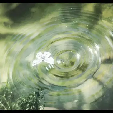 Profile image of 정공룡