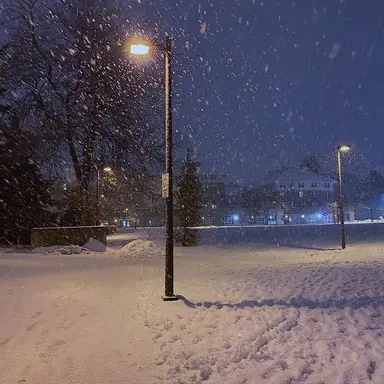 Profile image of 성한빈