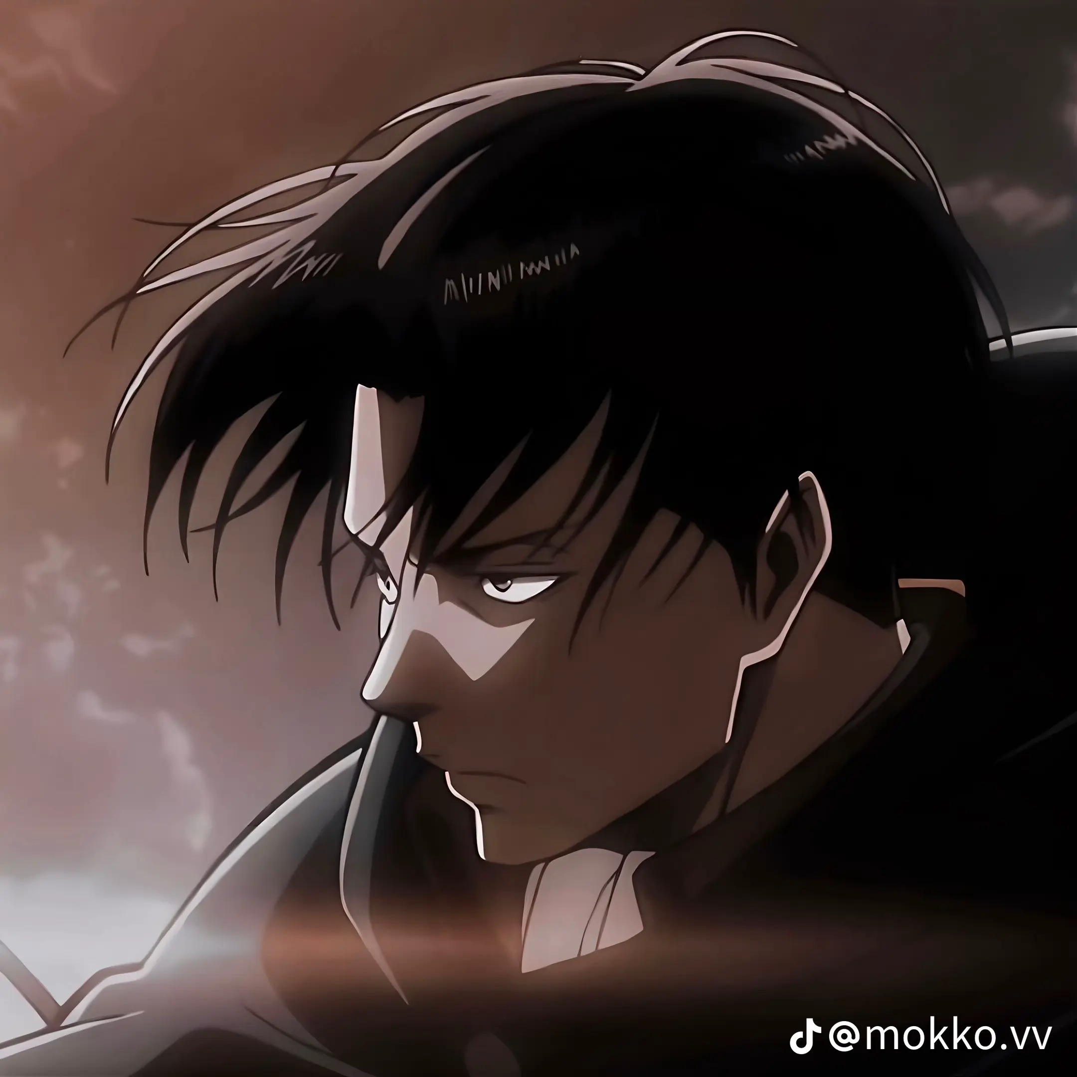WaryLife6782의 リヴァイ