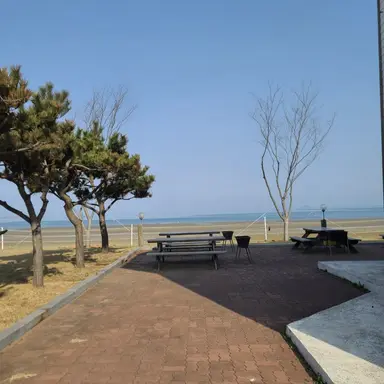 Profile image of 배진솔