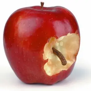 Profile image of 한율