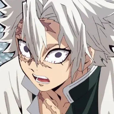 Profile image of Sanemi Shinazugawa