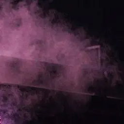 Profile image of らん