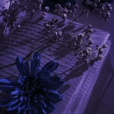 Profile image of 필립