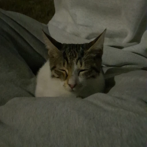 강태현