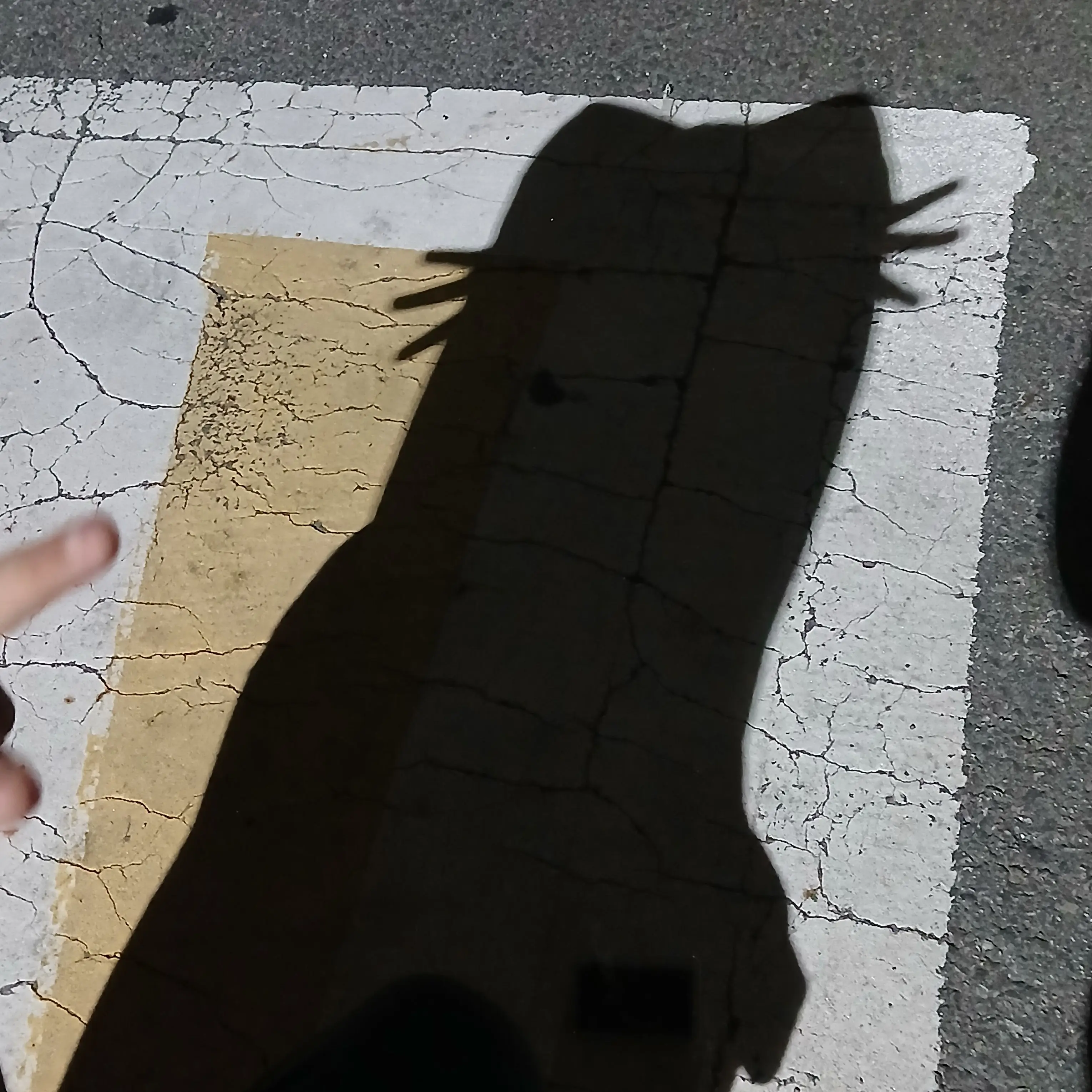 BouncyTapir2486의 조립식가족