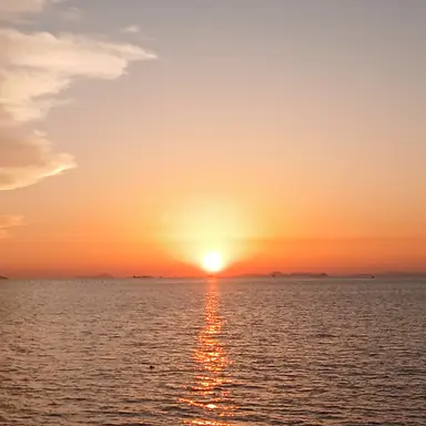 Profile image of 덕개