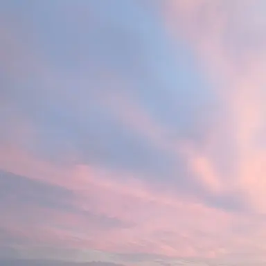 Profile image of 수현