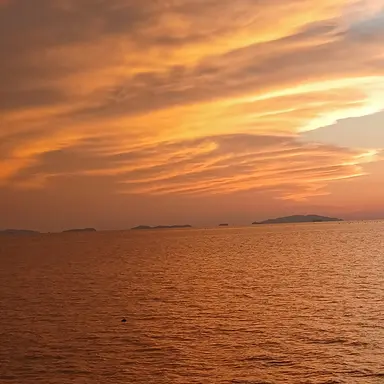 Profile image of 라더