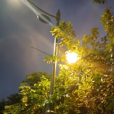 Profile image of 공룡