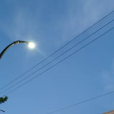 Profile image of 잠뜰