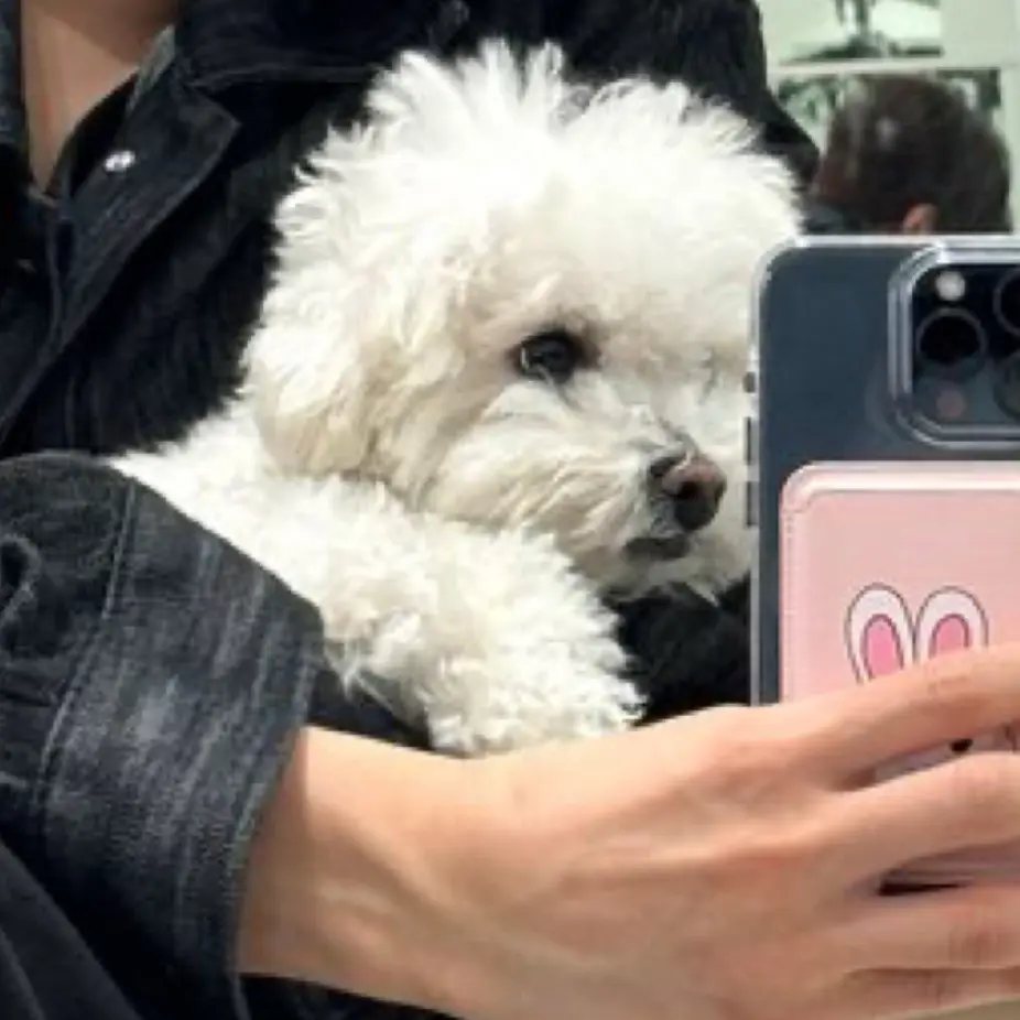 PlainDecal4097의 🐶
