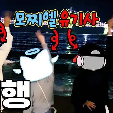 유기사