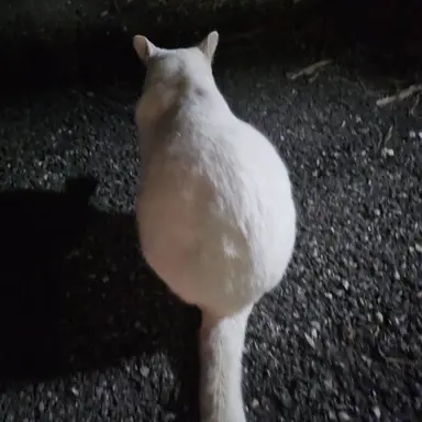 Profile image of 박원빈