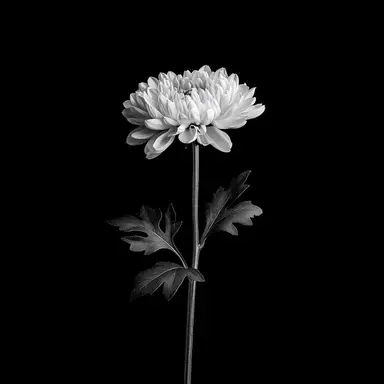 Profile image of 박승기