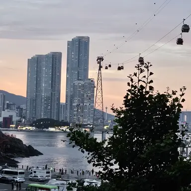 Profile image of 진시