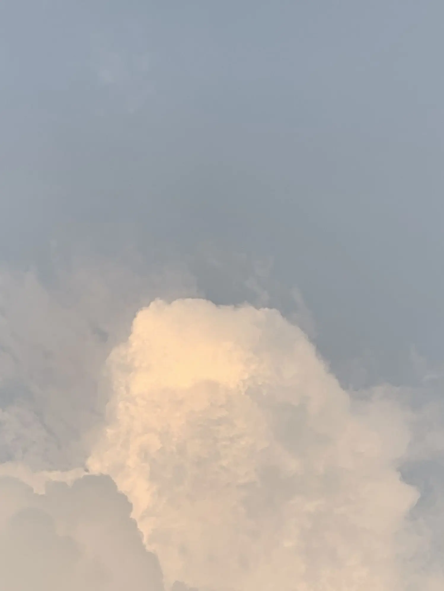 blackrose_fiower의 이유없는 추락사와 또 다른 피해자