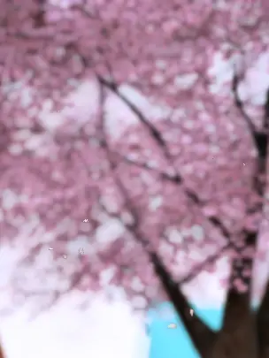 ipanjin의 ドタバタバディ物語-東+α編-