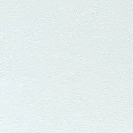 Profile image of 平 滝夜叉丸