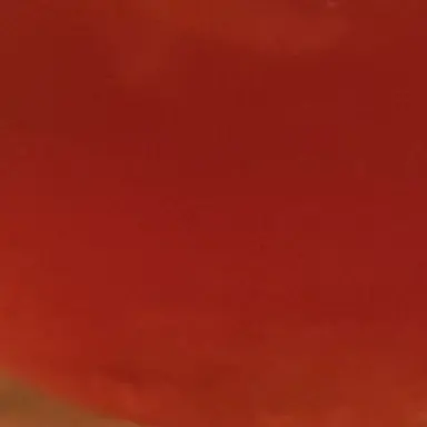 Profile image of 舜太