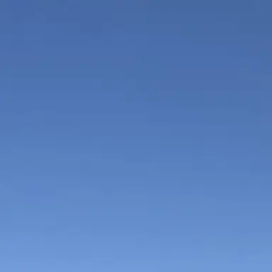 Profile image of 太智