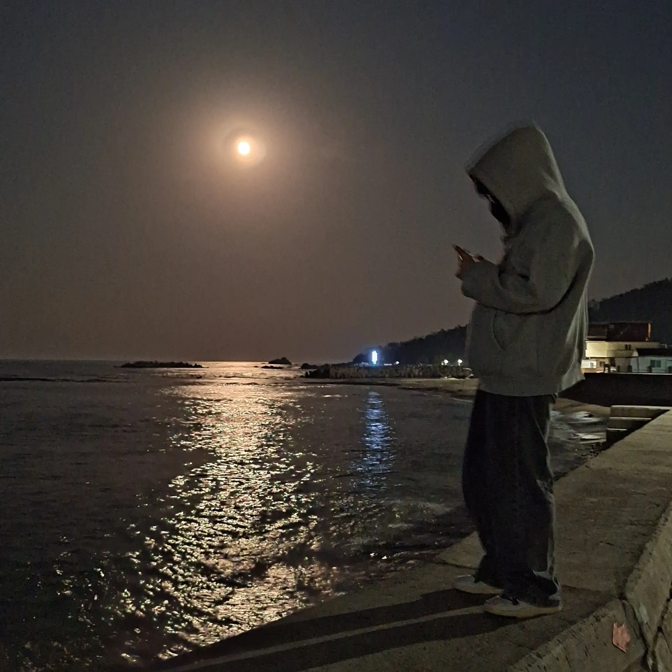 HugeFryer7649의 갠용