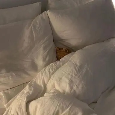 Profile image of 박승기