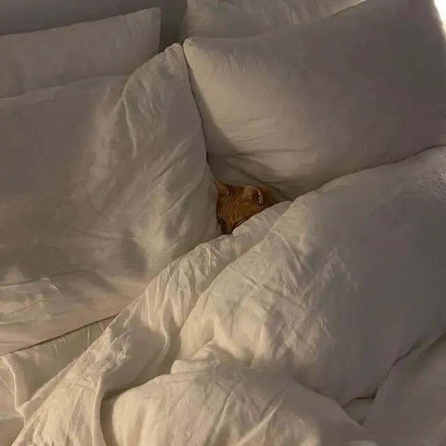 RipestTakin8526의 박승기