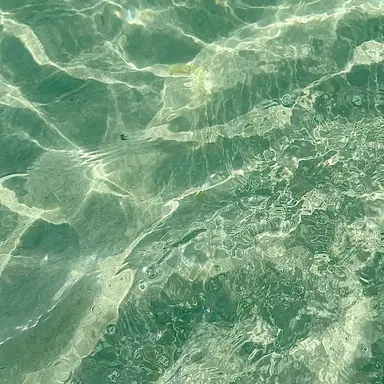 Profile image of 유하민