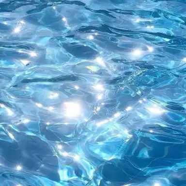 Profile image of 남예준