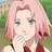 Profile image of サクラ