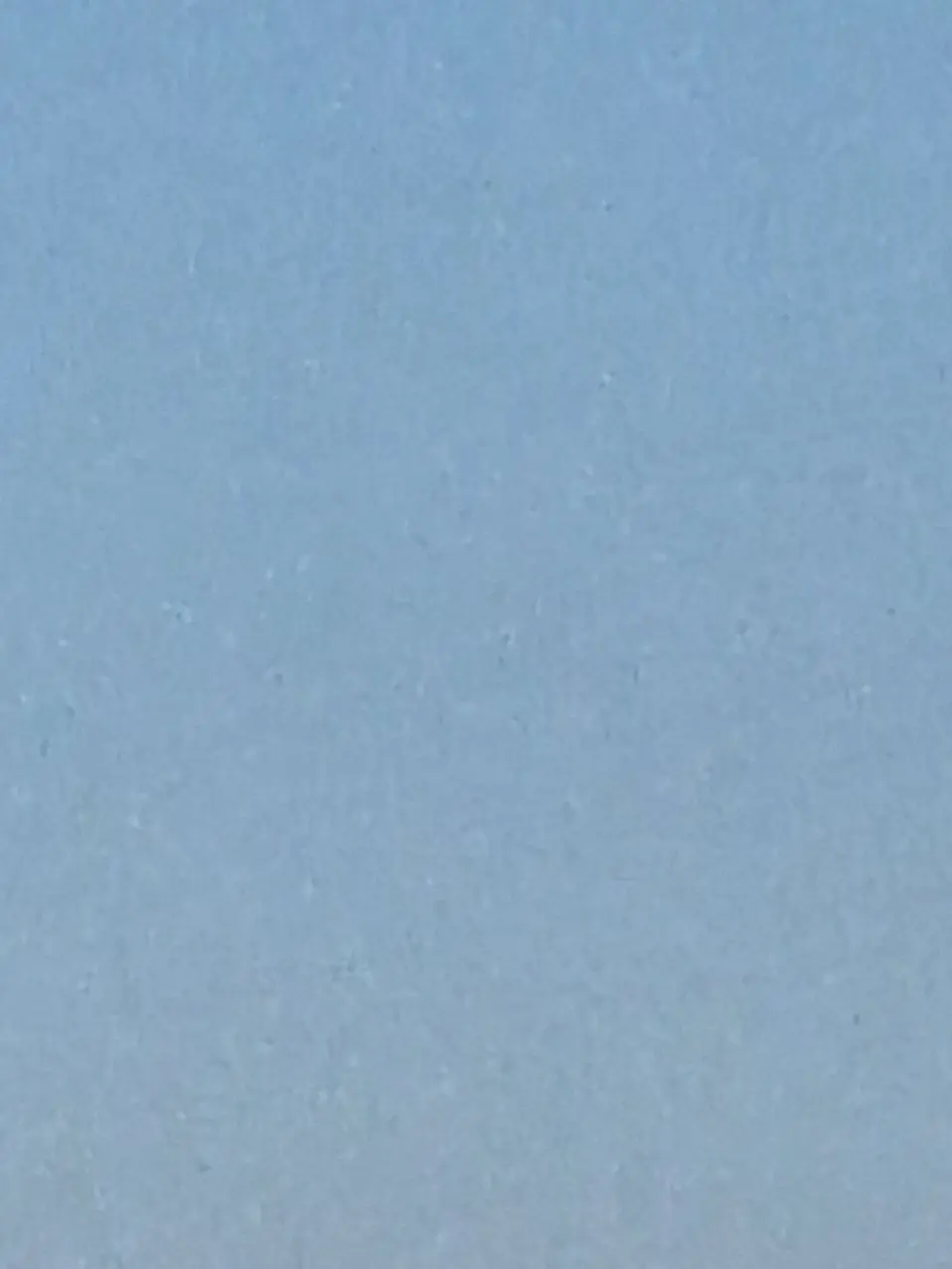 ModernAkita8622의 나비남매