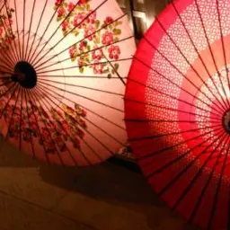 Profile image of 菊