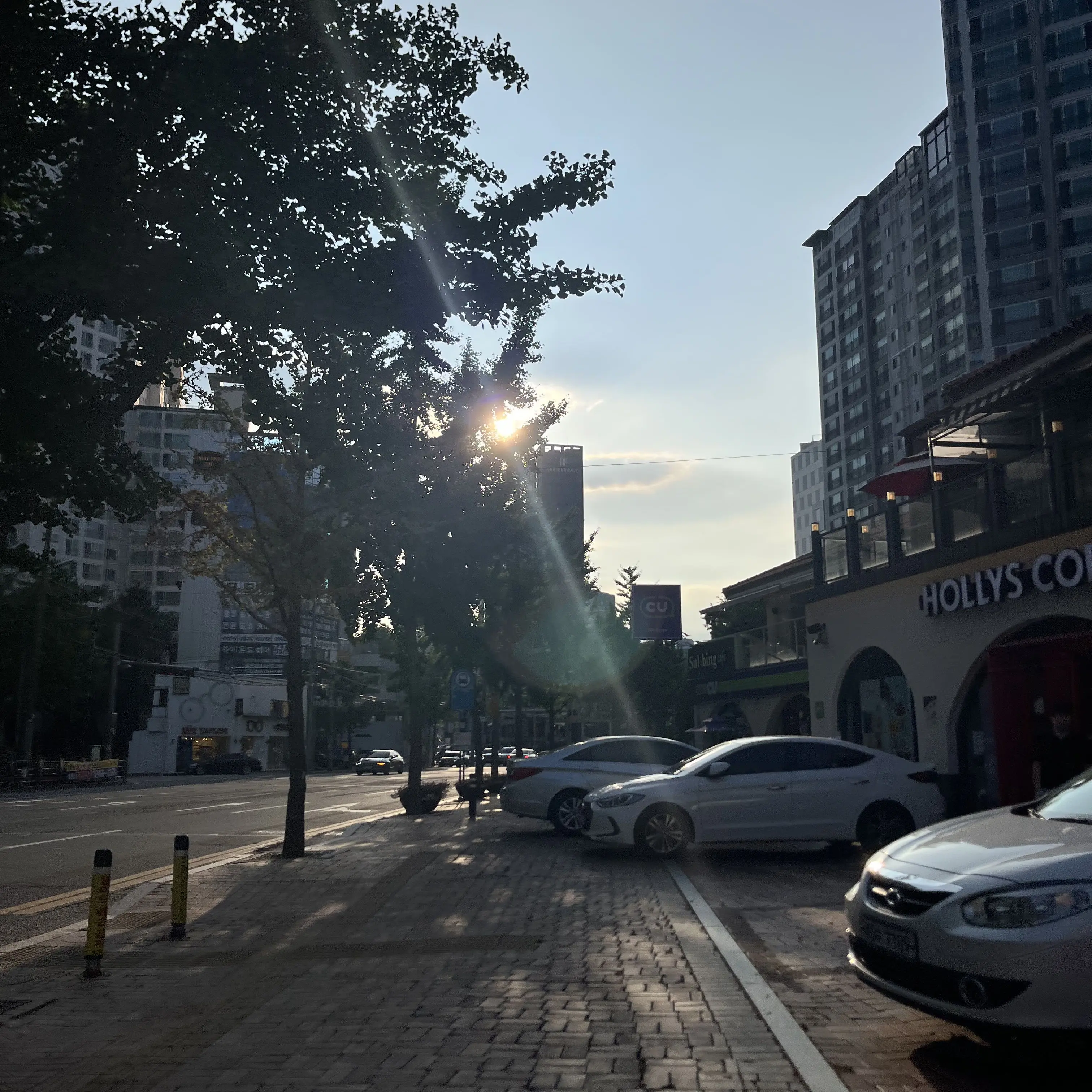 VitalHate9361의 연이[팀장버전]