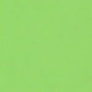 BoneToe9253의 嫌われてる悪魔の双子